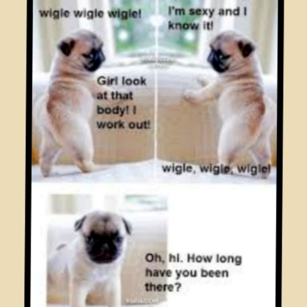 I PRICE WITH WIGGLE ROOM